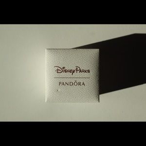 Disney Parks Pandora box